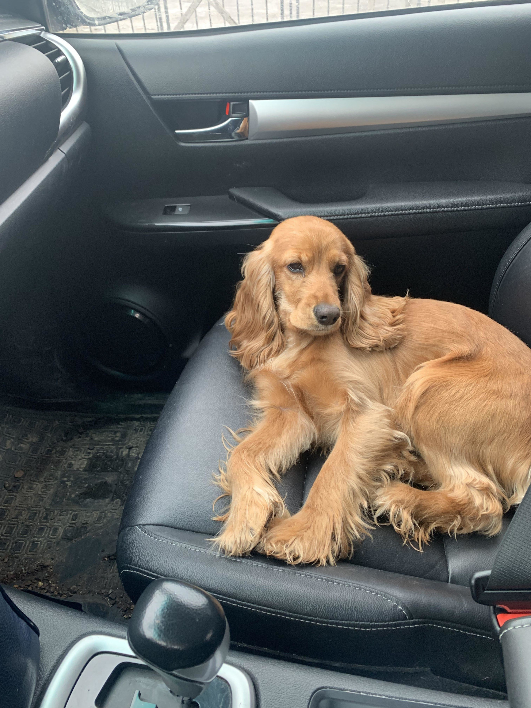 Моя охотница – фотографии России