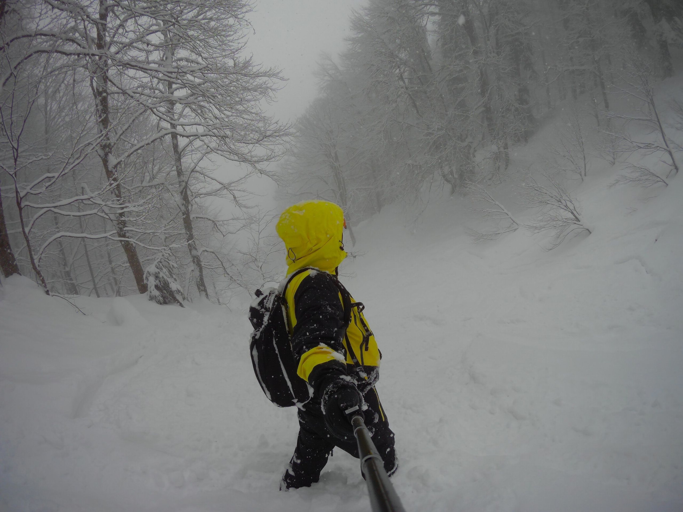 Сочи 2022 – фотографии России