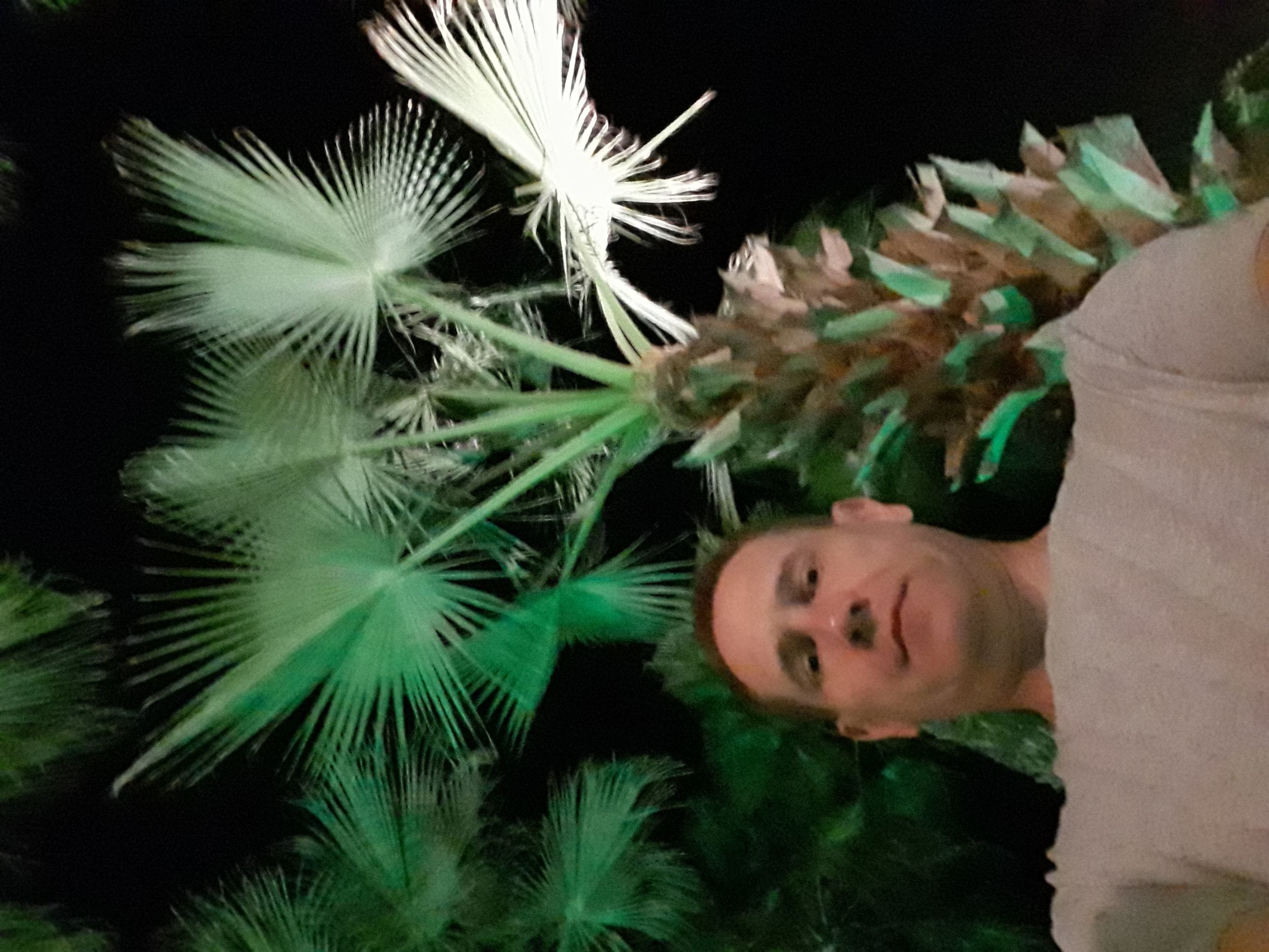 2 – фотографии