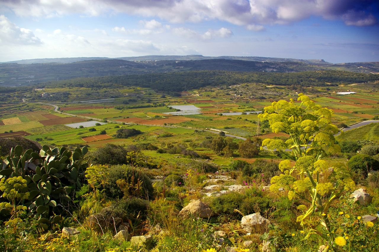 Меллиха, Мальта остров, Мальта, фото № 42618 – фотографии Мальты