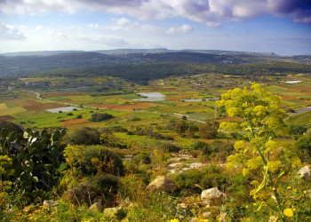 Меллиха, Мальта остров, Мальта, фото № 42618 – фотографии Мальты