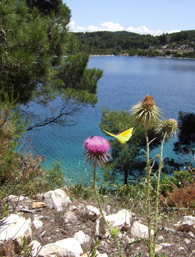 Национальный парк, Хорватия. Фото 5 – фотографии Хорватии