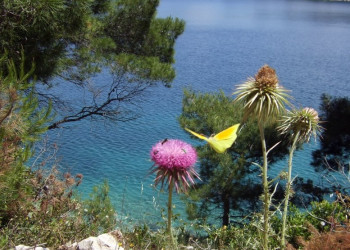 Национальный парк, Хорватия. Фото 5 – фотографии Хорватии