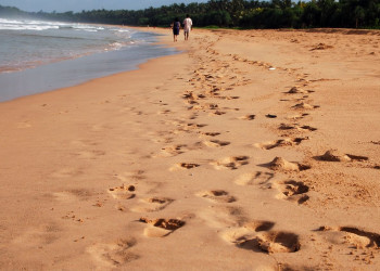 Бентота, Шри-Ланка, фото № 50673 – фотографии Шри-Ланки