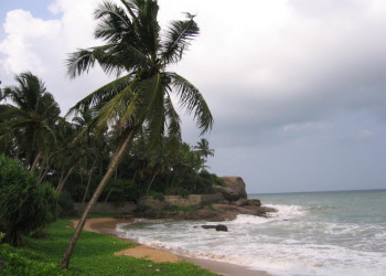 Матара, Шри-Ланка, фото № 51728 – фотографии Шри-Ланки