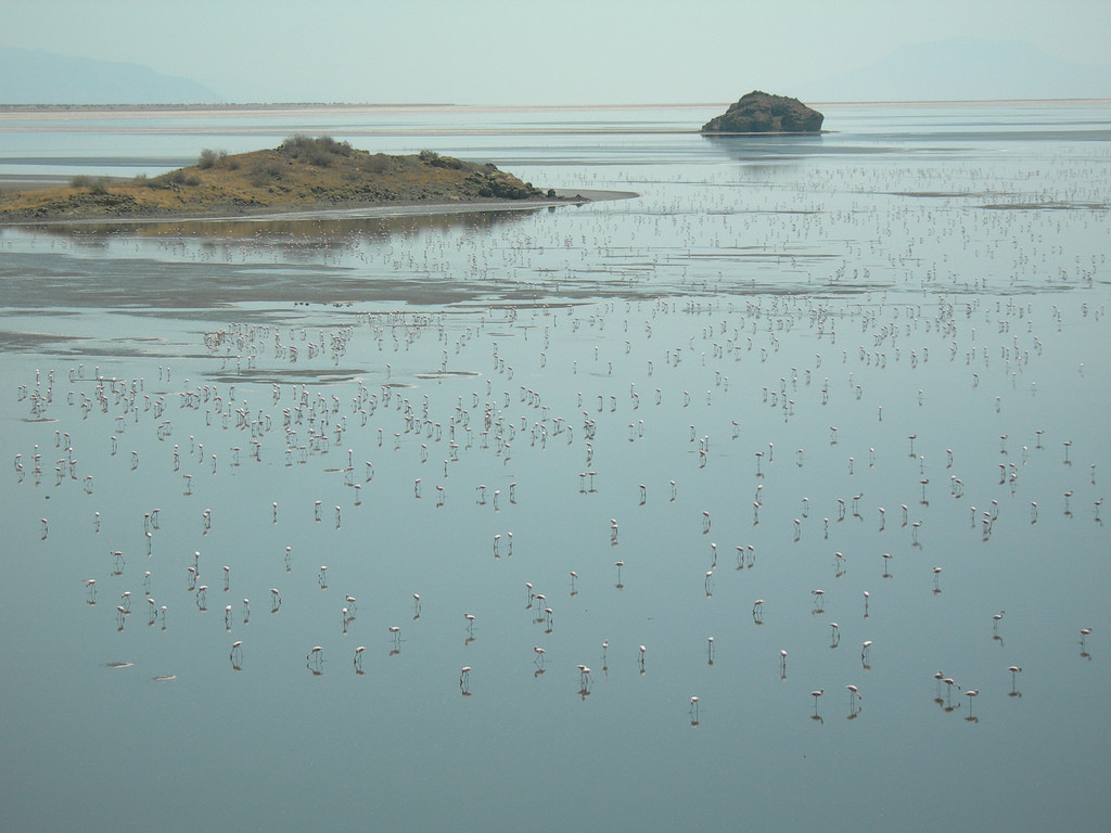Солёное озеро Натрон, расположенное на севере Танзании. Фото 1 – фотографии Танзании