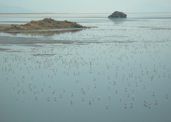 Солёное озеро Натрон, расположенное на севере Танзании. Фото 1 – фотографии Танзании