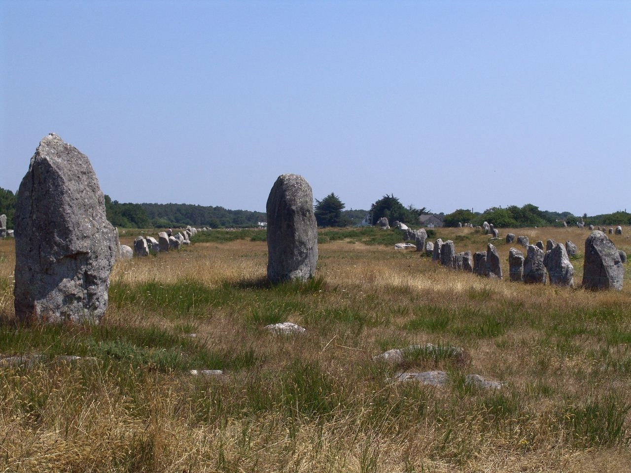 Природа в Карнаке, Франция. Фото 4 – фотографии Франции