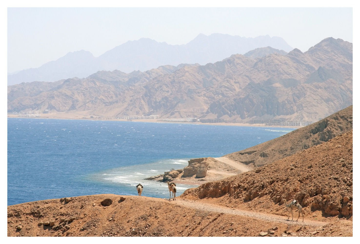 Дахаб, Египет, фото № 34972 – фотографии Египта