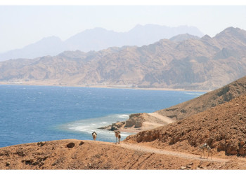 Дахаб, Египет, фото № 34972 – фотографии Египта