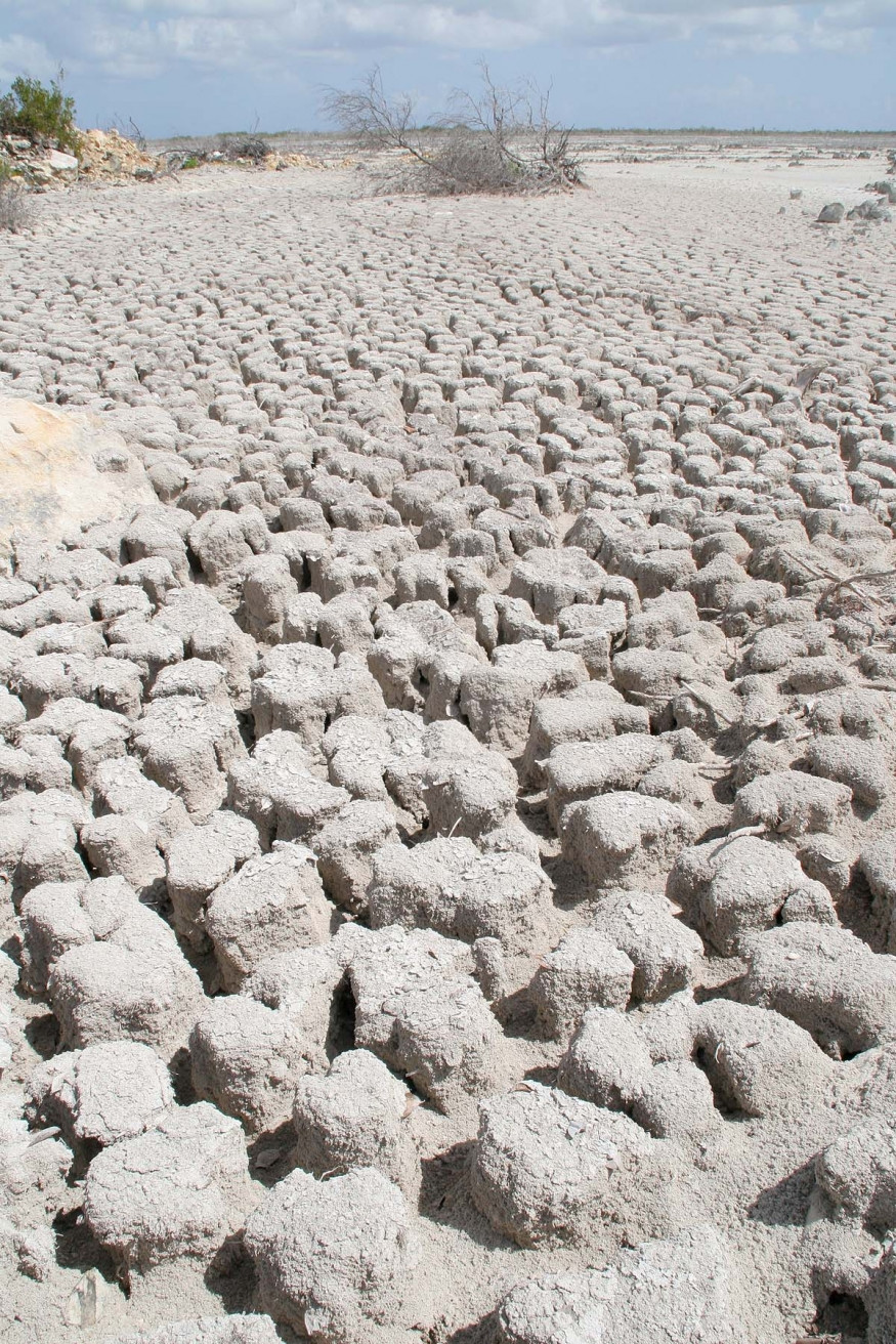 Остров Инагуа, Багамские острова. Фото 2 – фотографии Багамских островов