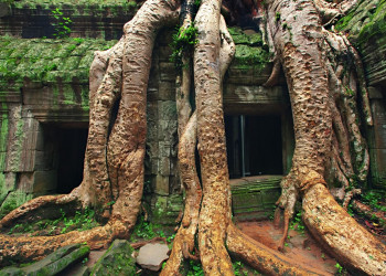 Ангкор-Ват (Angkor Wat) – фотографии Камбоджи