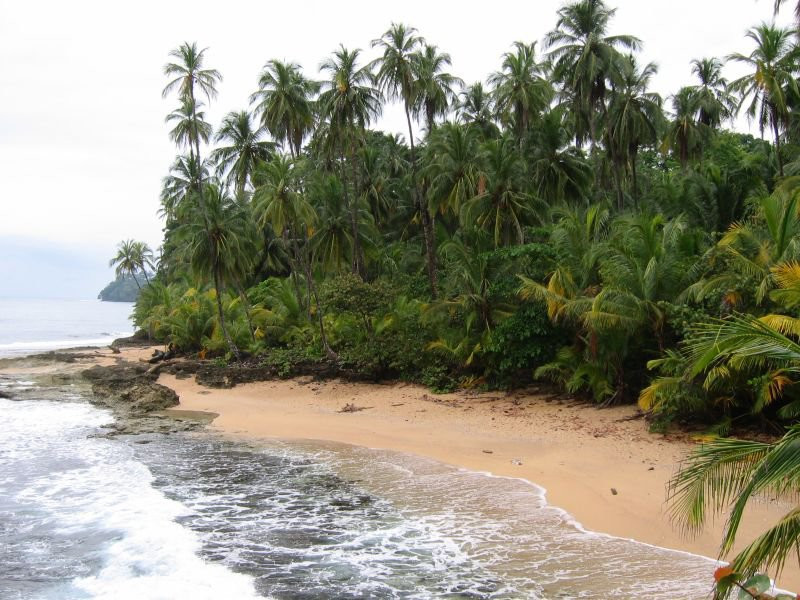 Манзанилло, Лимон провинция, Коста-Рика, фото № 40118 – фотографии Коста-Рики