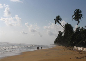 Ваддува, Шри-Ланка, фото № 50789 – фотографии Шри-Ланки