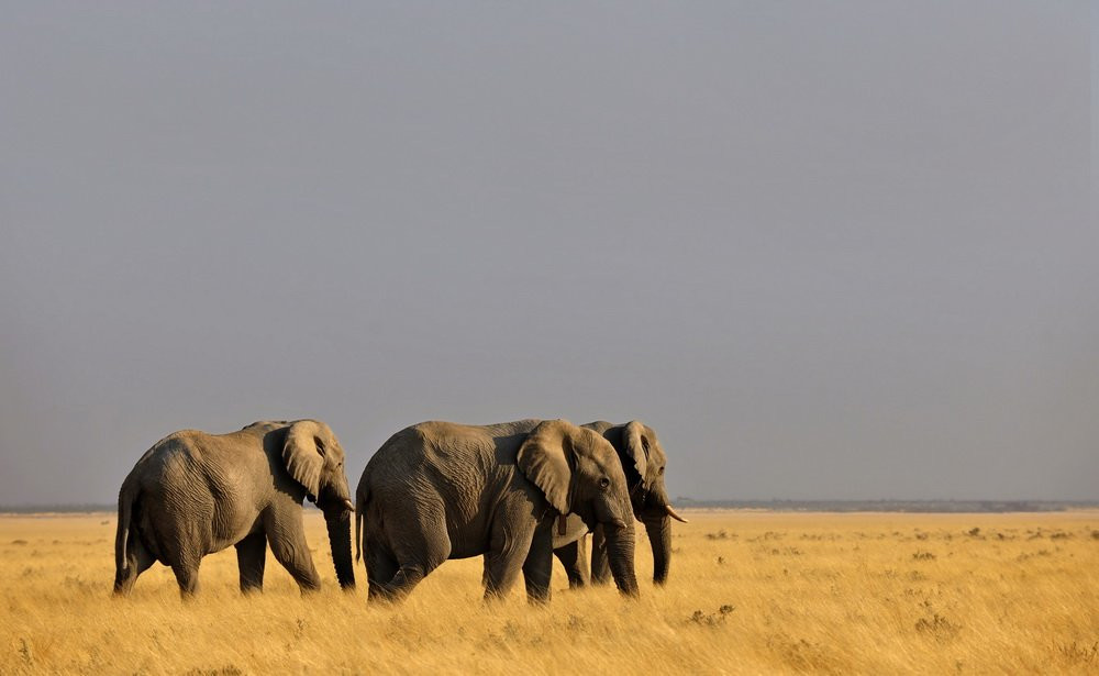 Namibia – фотографии Намибии