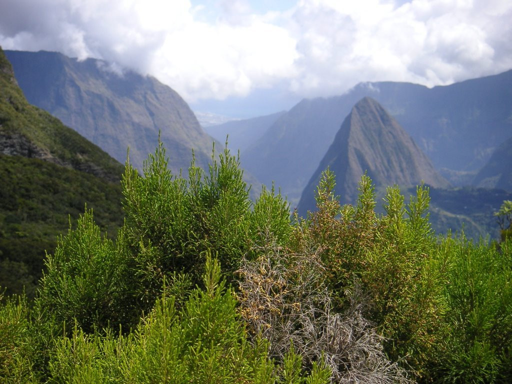 Мафат, Реюньон, фото № 25470 – фотографии Реюньона