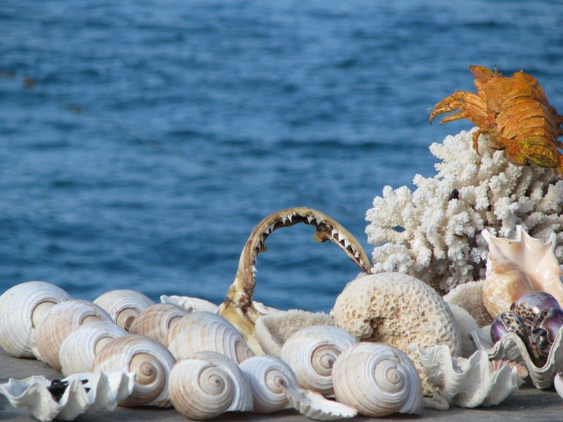 Александрия, Египет, фото № 34855 – фотографии Египта