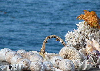 Александрия, Египет, фото № 34855 – фотографии Египта