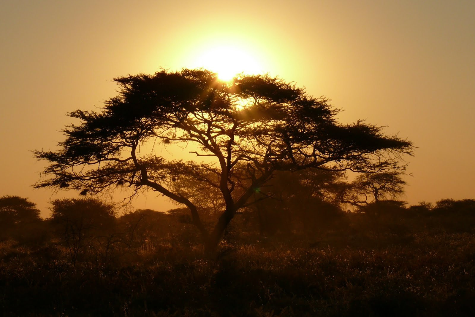 Намибия, фото № 5593 – фотографии Намибии