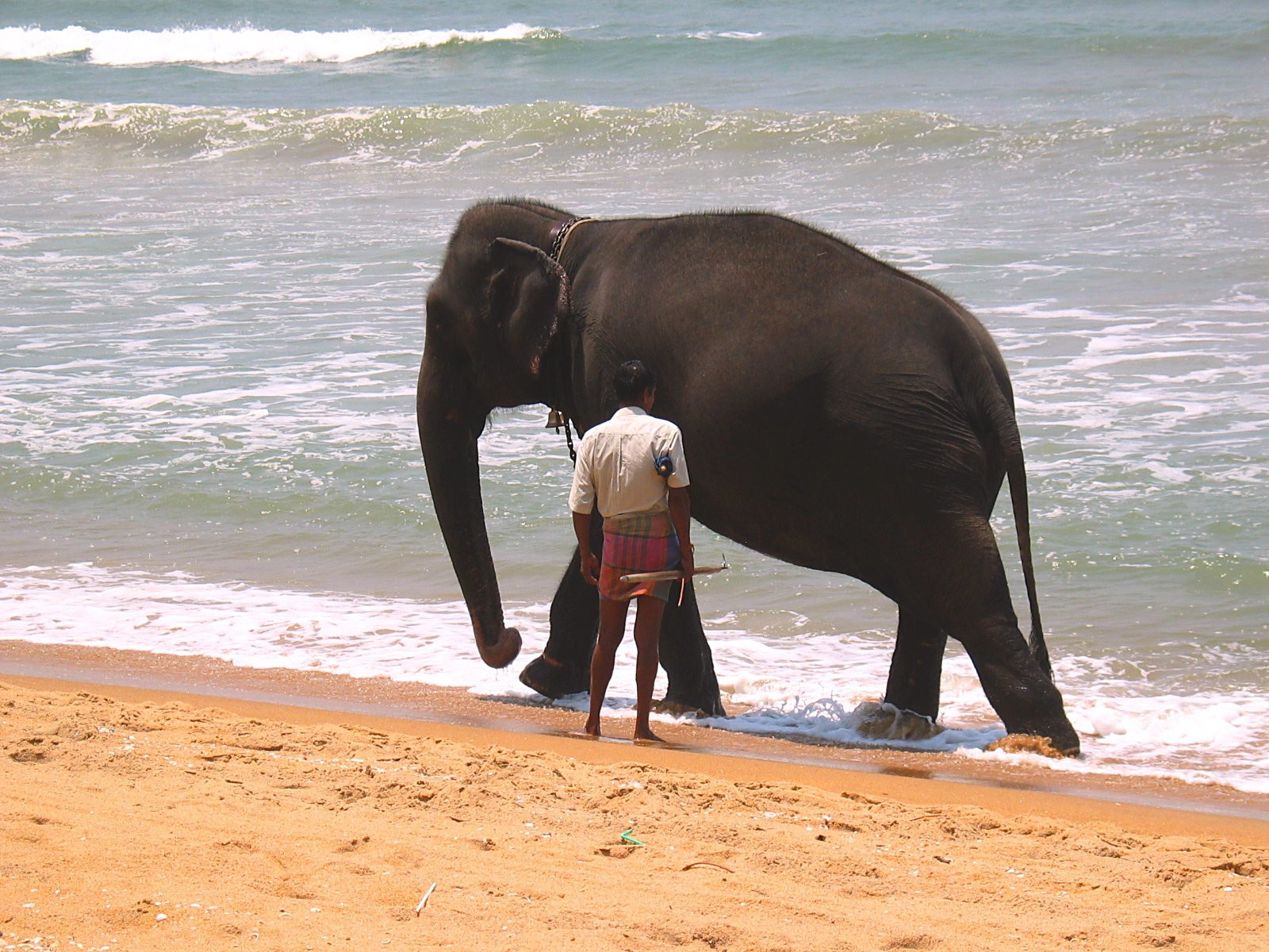 Ваддува, Шри-Ланка, фото № 50800 – фотографии Шри-Ланки