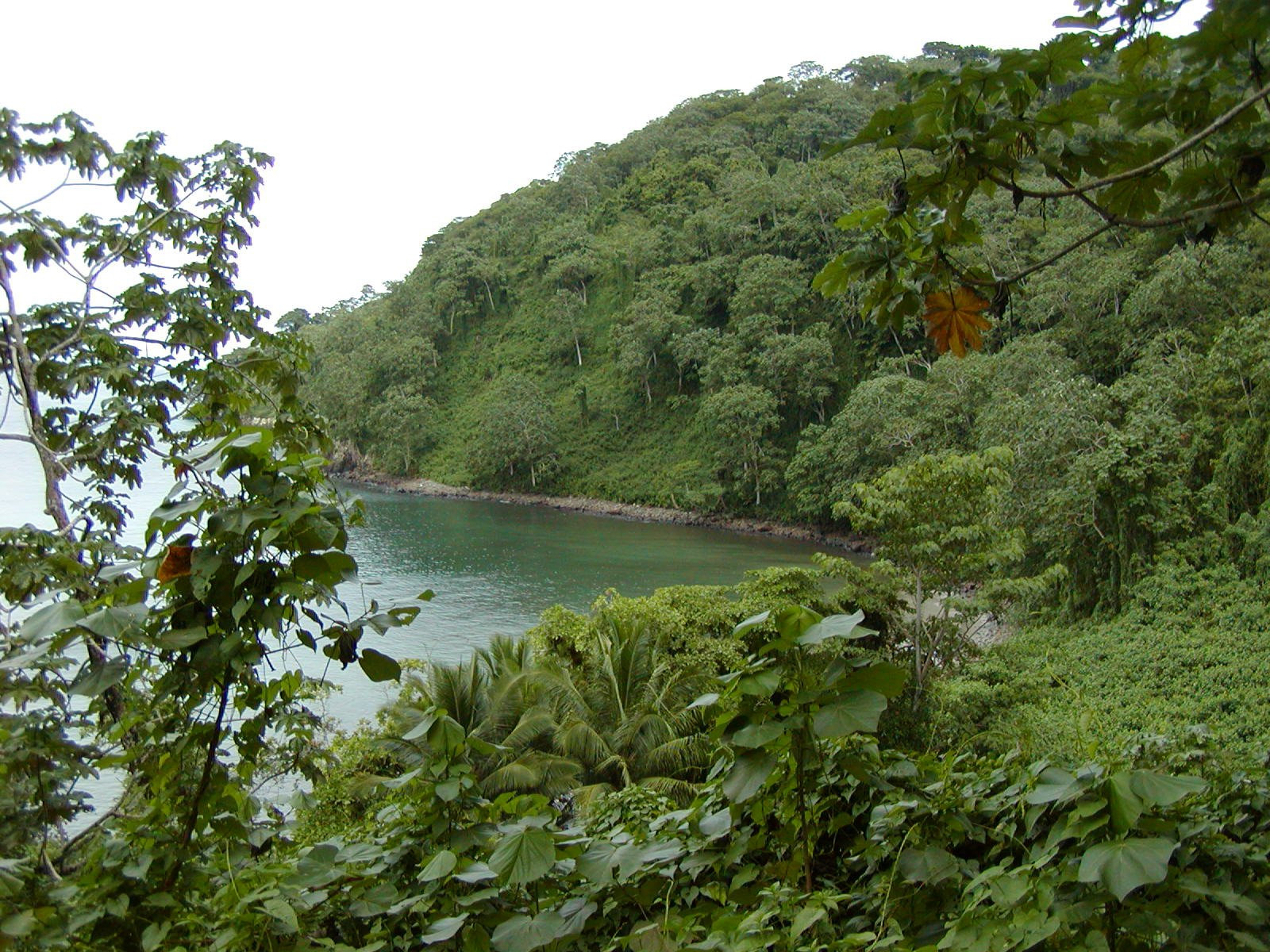 о.Кокос, Пунтаренас провинция, Коста-Рика, фото № 40879 – фотографии Коста-Рики