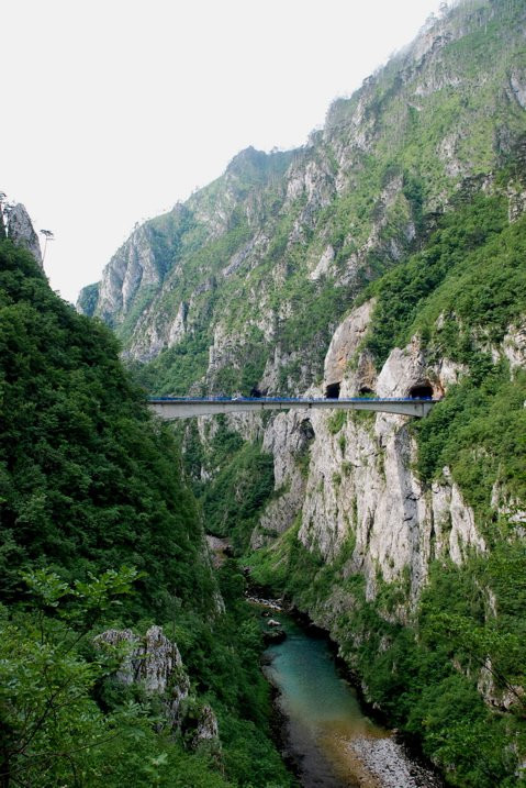 Тара Каньон – фотографии Черногории