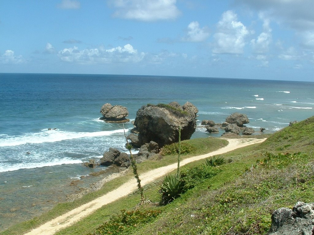 Берега на Восточном побережье, Барбадос. Фото 4 – фотографии Барбадоса