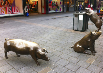 Бронзовые свинки в Аделаиде – фотографии Австралии