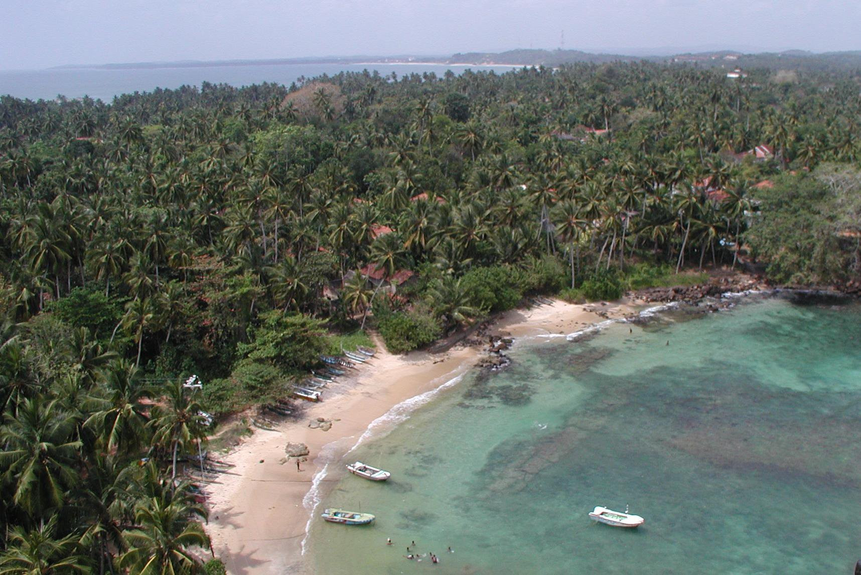 Шри-Ланка, фото № 1153 – фотографии Шри-Ланки