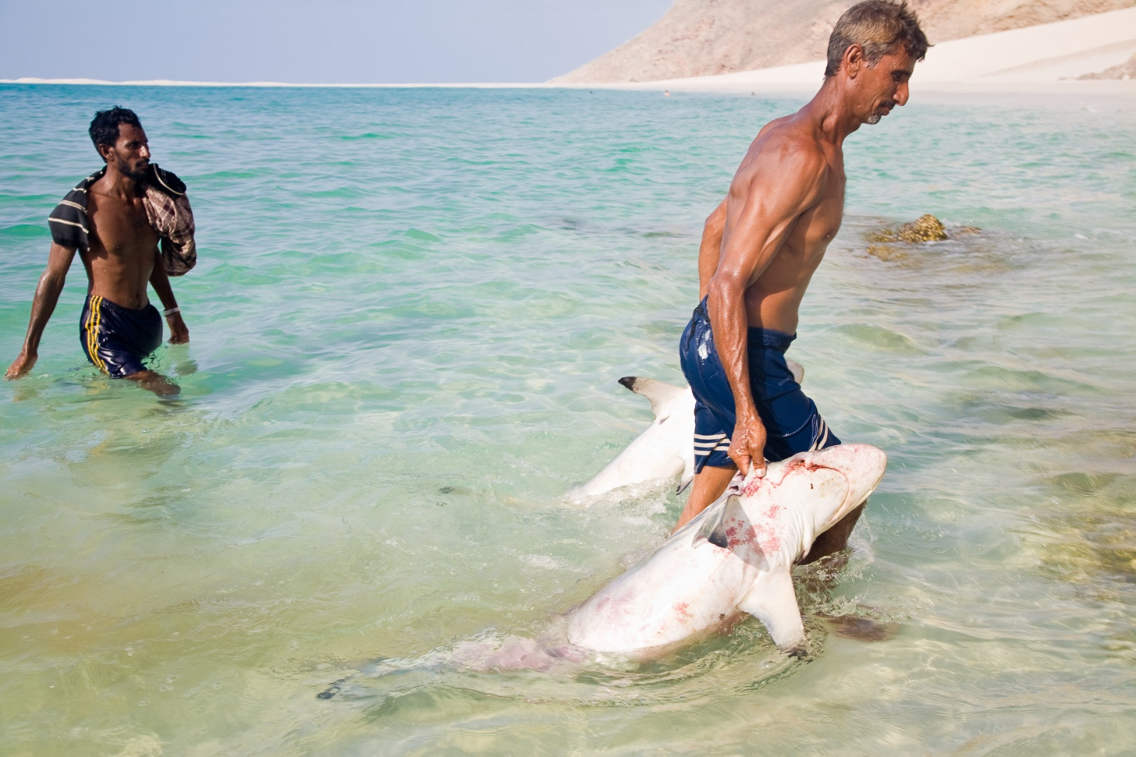 Остров Сокотра (Socotra) в Йемене. Фото 4 – фотографии Йемена