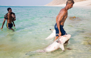 Остров Сокотра (Socotra) в Йемене. Фото 4 – фотографии Йемена