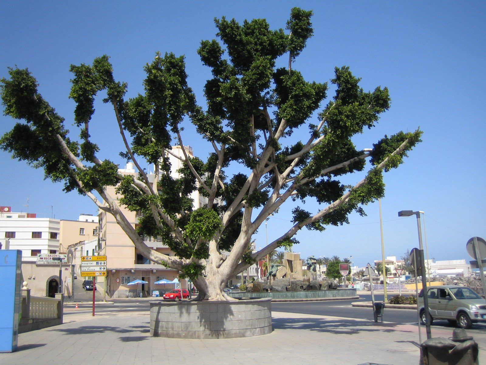 Пуэрто-дель-Росарио, Фуэртевентура остров, Канарские острова, фото № 34367 – фотографии Канарских островов