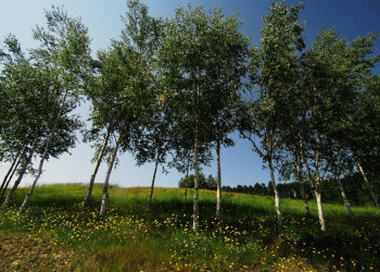 Хоккайдо остров, Хоккайдо регион, Япония, фото № 72730 – фотографии Японии