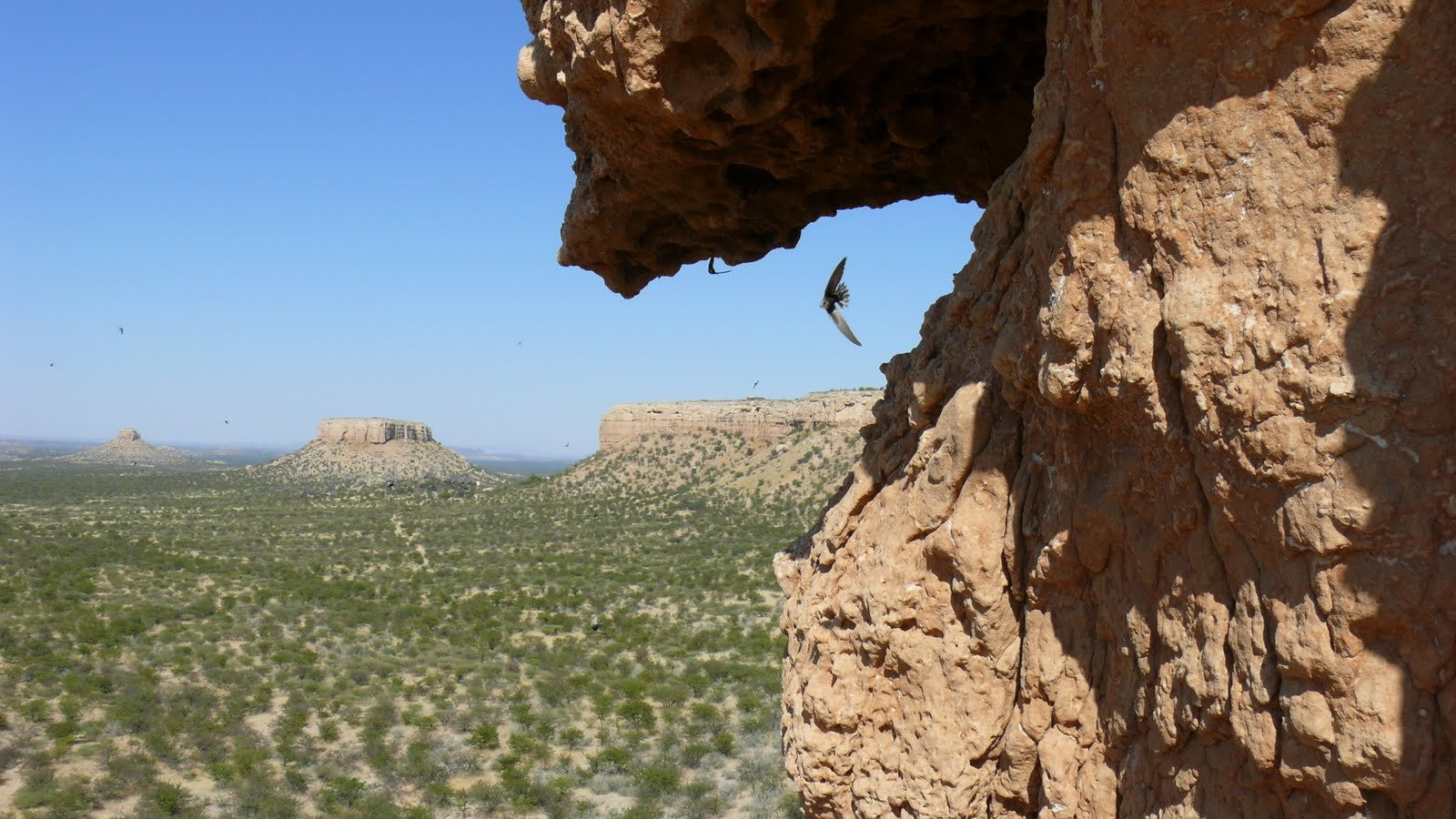 Намибия, фото № 5583 – фотографии Намибии