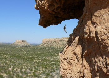 Намибия, фото № 5583 – фотографии Намибии