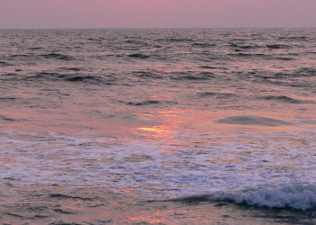 Ваддува, Шри-Ланка, фото № 50795 – фотографии Шри-Ланки