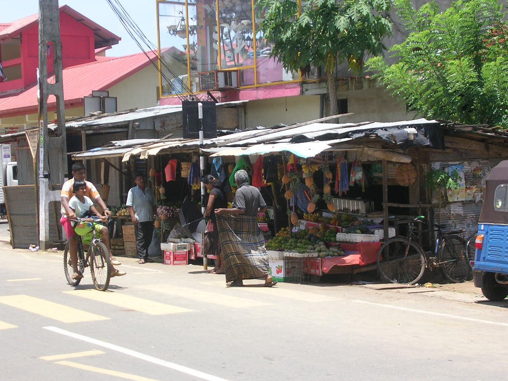 Велигама, Шри-Ланка, фото № 50849 – фотографии Шри-Ланки