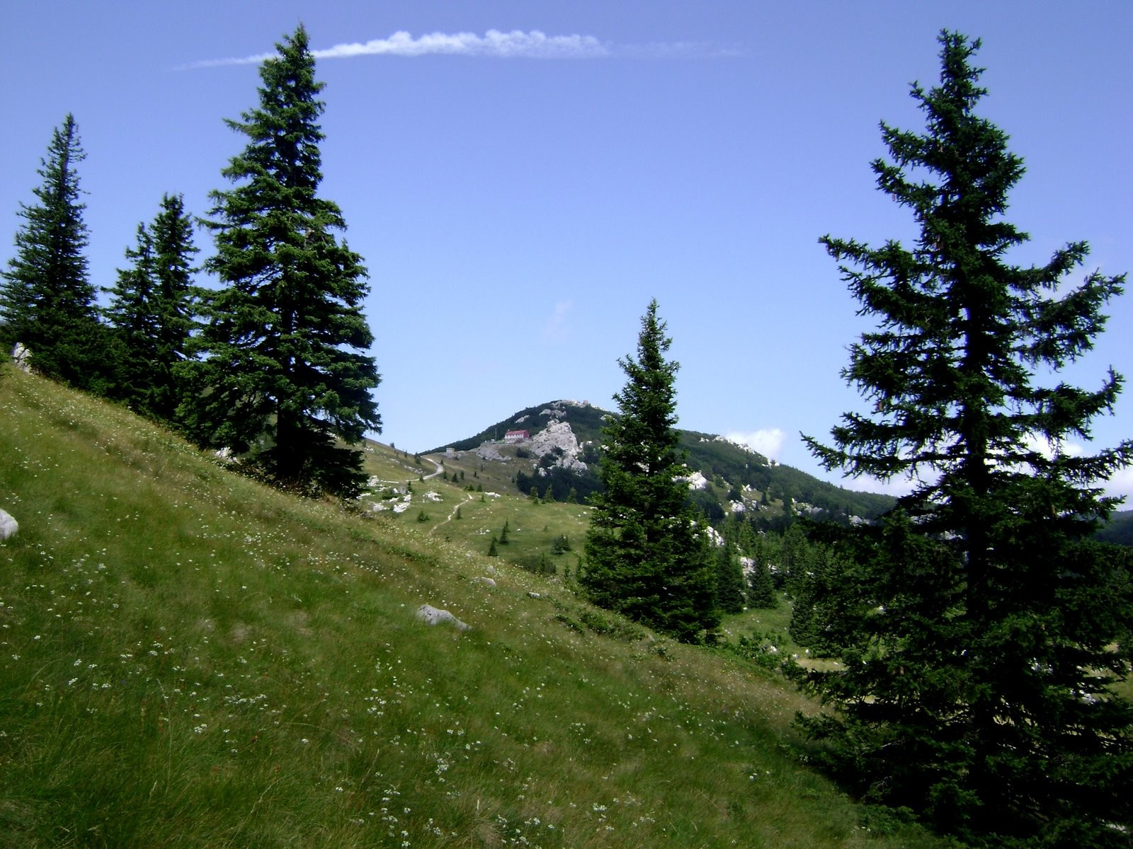 Природа в Северный Велебит Национальный, Хорватия. Фото 4 – фотографии Хорватии