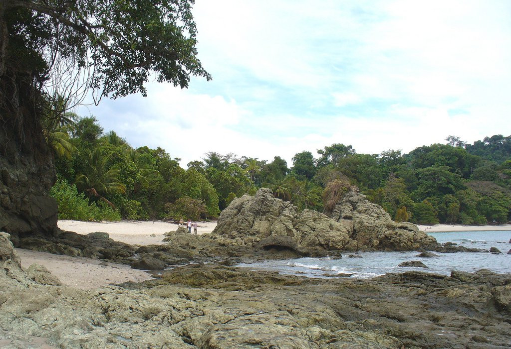 Мануэль Антонио Национальный Парк, Пунтаренас провинция, Коста-Рика, фото № 40675 – фотографии Коста-Рики