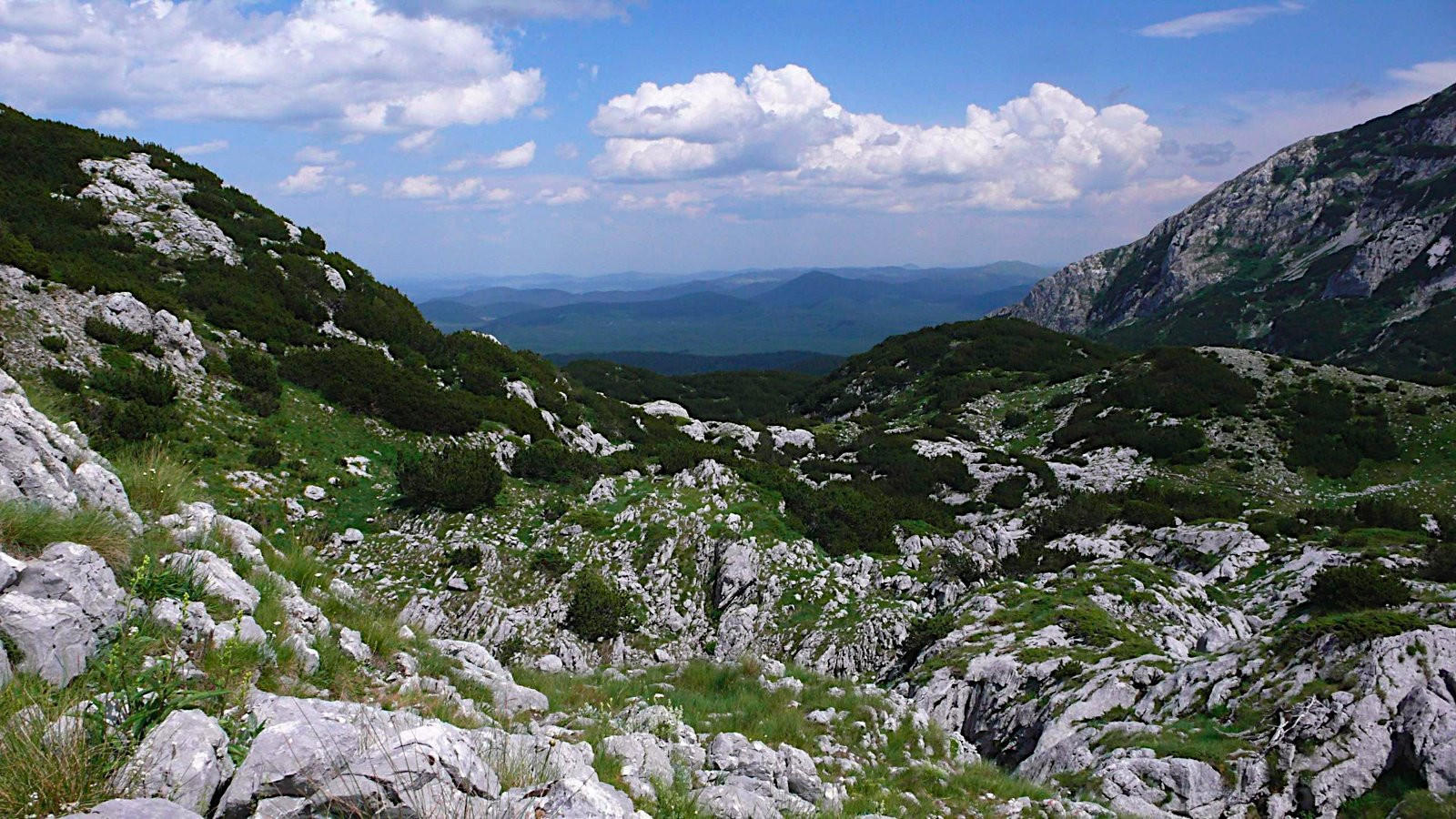 Горы в Жабляк, Черногория – фотографии Черногории