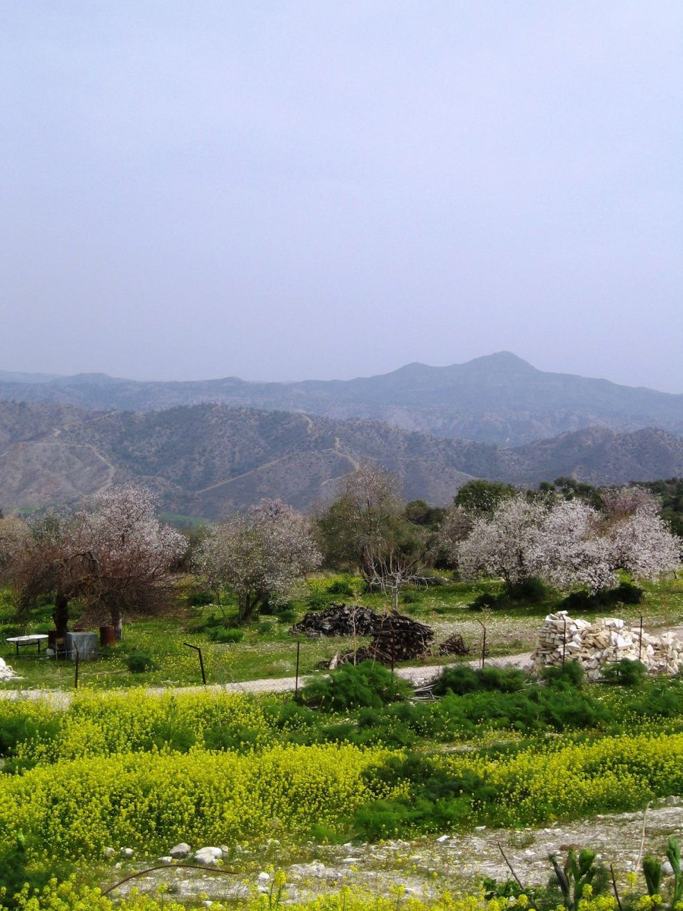 Лефкара, Кипр, фото № 38132 – фотографии Кипра