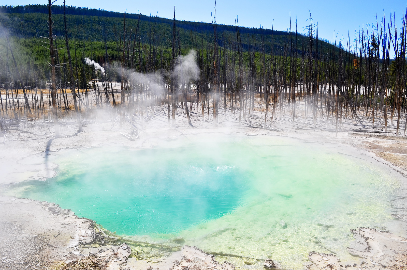 Yellowstone National Park – фотографии США