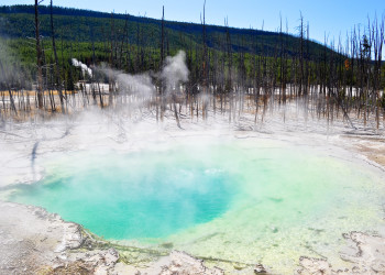 Yellowstone National Park – фотографии США