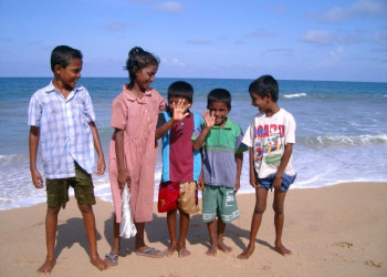 Шри-Ланка, фото № 1155 – фотографии Шри-Ланки