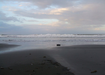 Кауита, Лимон провинция, Коста-Рика, фото № 40028 – фотографии Коста-Рики