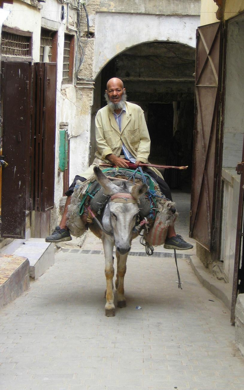 Фес, Марокко, фото № 8415 – фотографии Марокко
