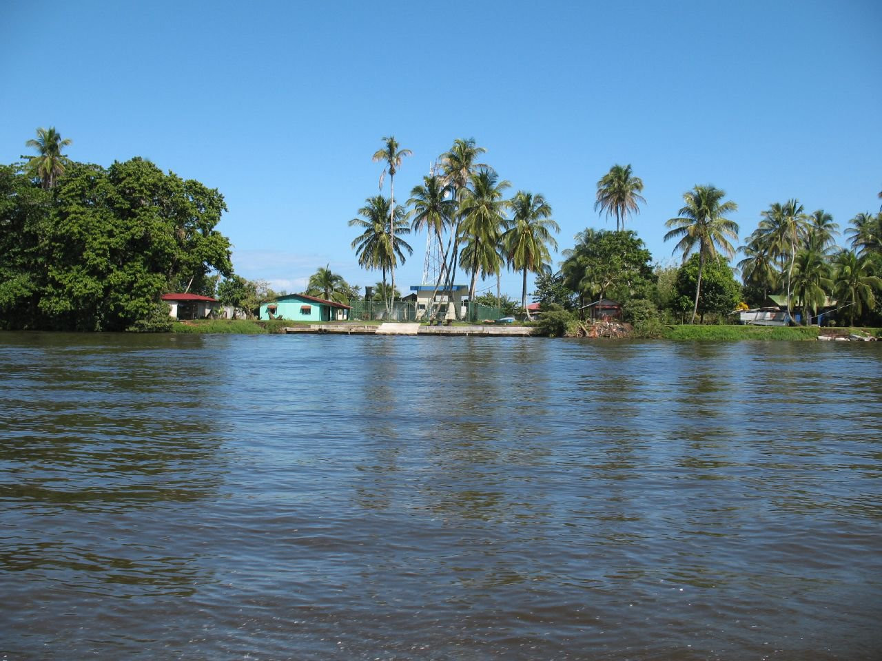 Тортугеро, Лимон провинция, Коста-Рика, фото № 40291 – фотографии Коста-Рики