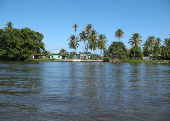 Тортугеро, Лимон провинция, Коста-Рика, фото № 40291 – фотографии Коста-Рики