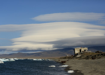 Остров Врангеля, Чукотский автономный округ – фотографии России