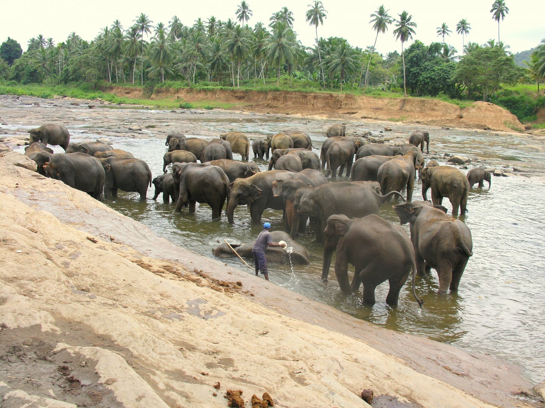 Берувела, Шри-Ланка, фото № 50765 – фотографии Шри-Ланки